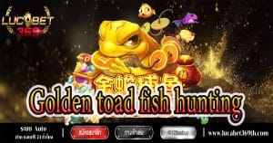 Golden toad fish hunting